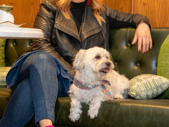 Фото Harbor Court Hotel