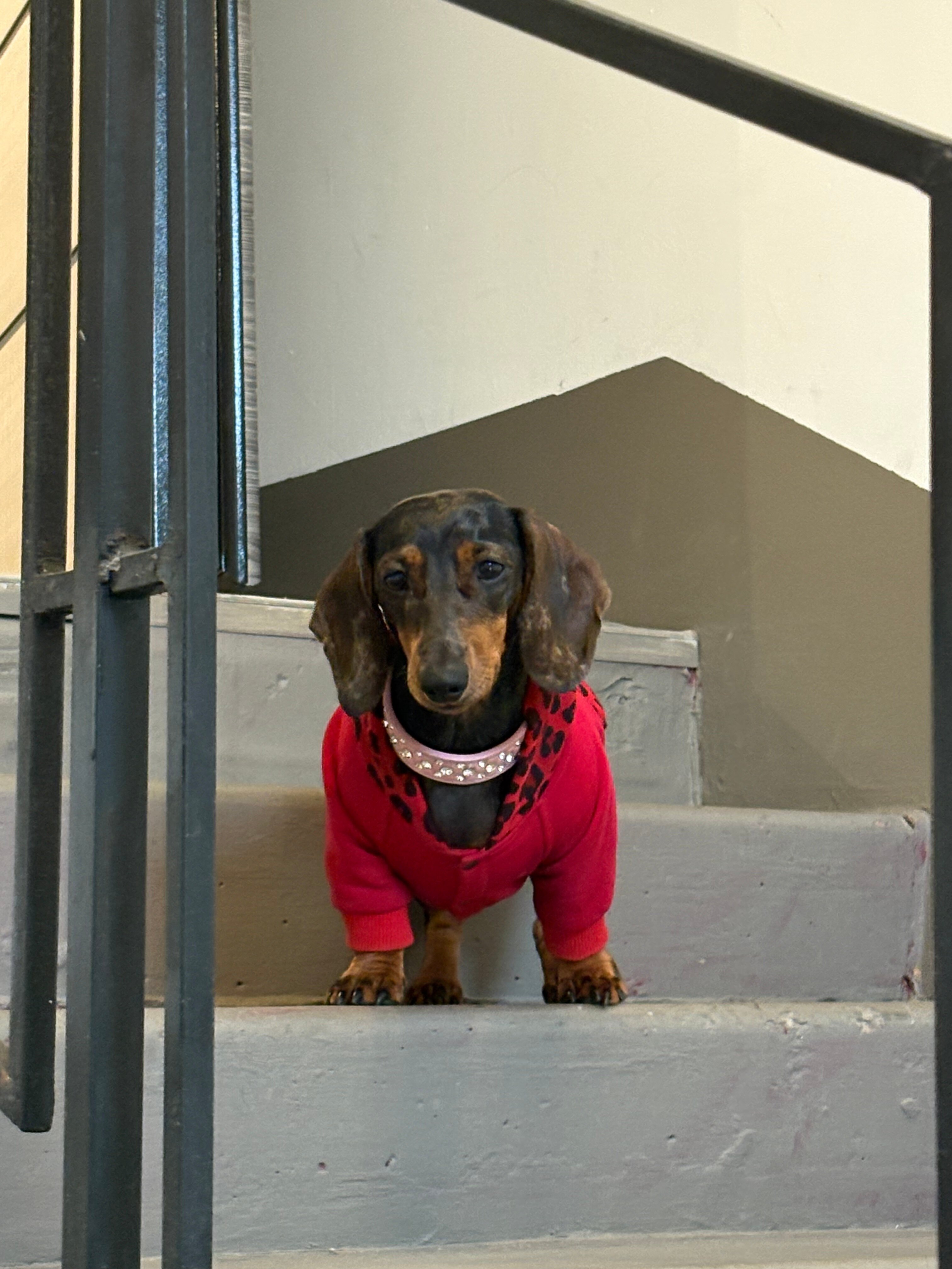 Фото Невский Авеню