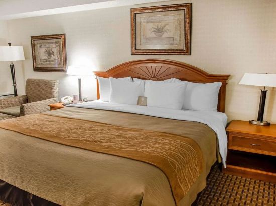 Фото Comfort Inn Toronto Northeast