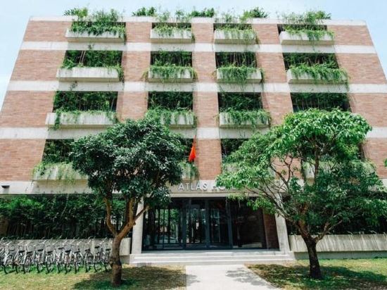 Фото Mulberry Collection Silk Eco