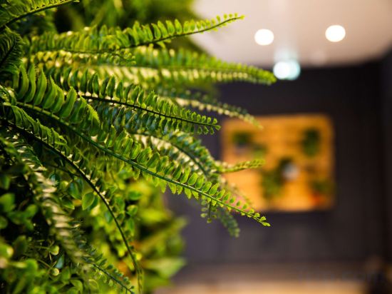 Фото Ibis Paris Porte d'Orléans