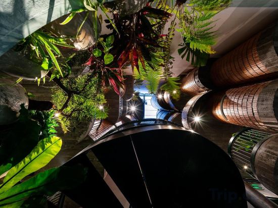 Фото The Memory - Danang