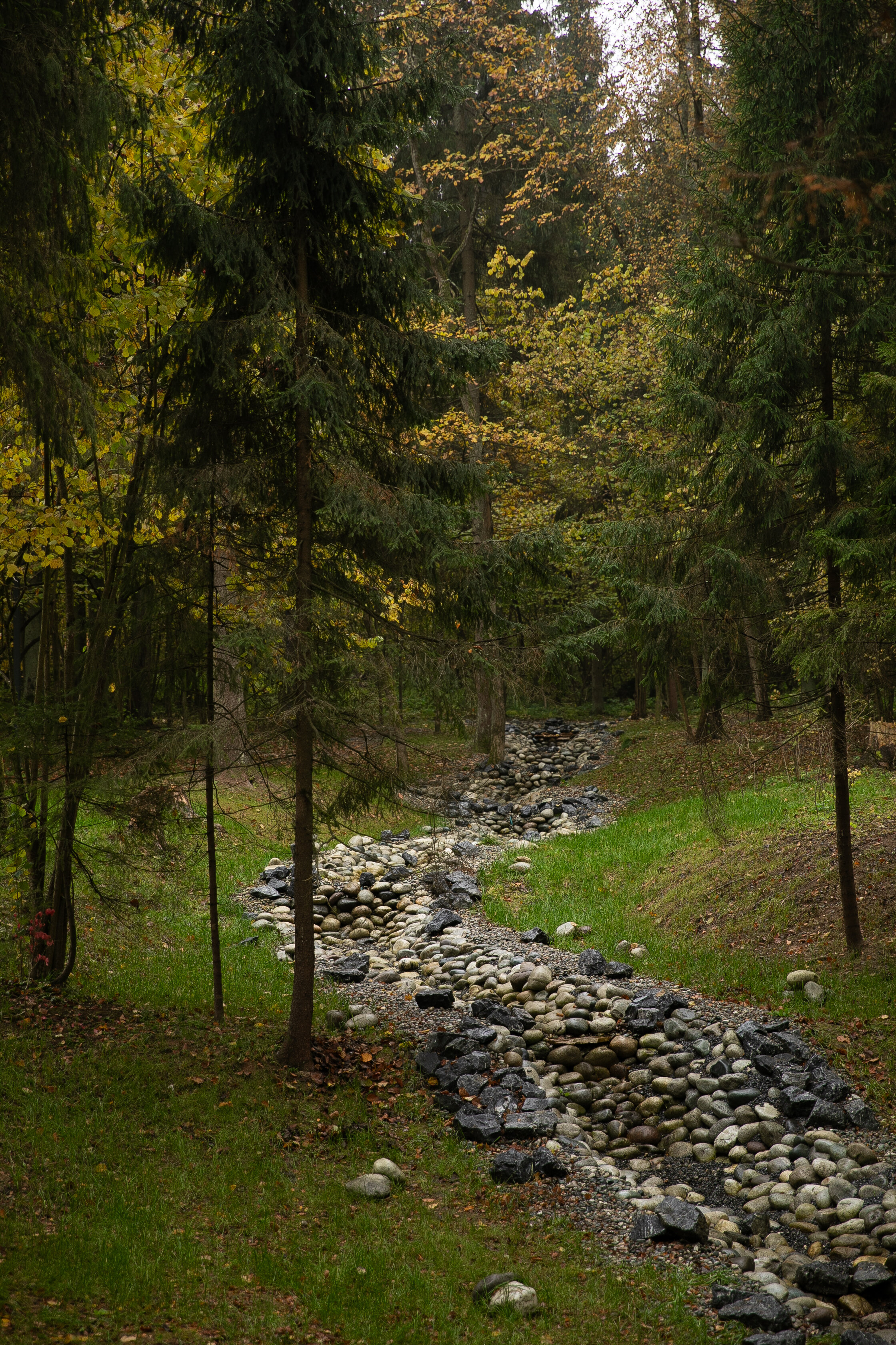 Фото Рябиновый берег