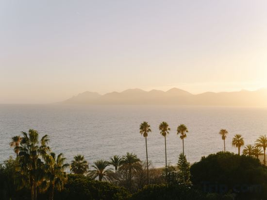 Фото Hotel Belle Plage