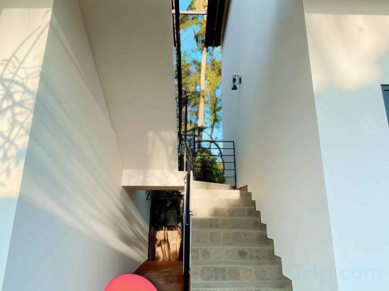 Фото Aurora House