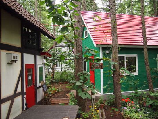 Фото The squirrel's guesthouse Canterbury