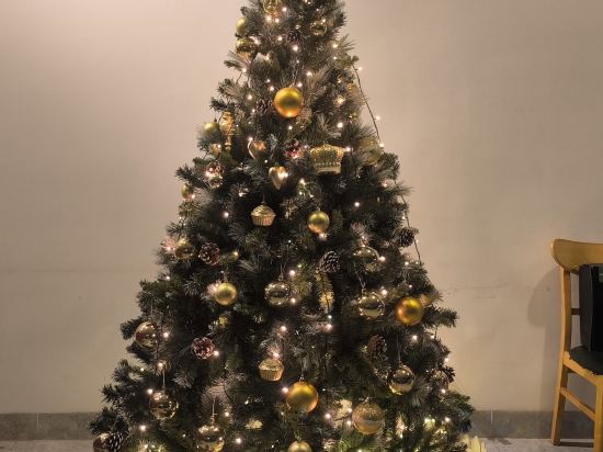 Фото Fortuna Hotel Phu Quoc