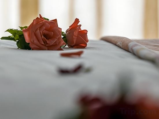 Фото Oasis Hotel & SPA