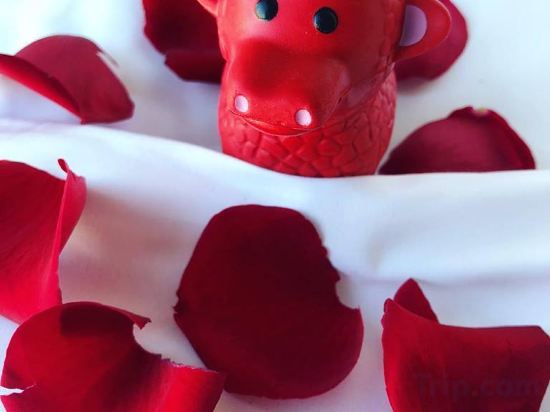 Фото Canopy by Hilton San Francisco SoMa