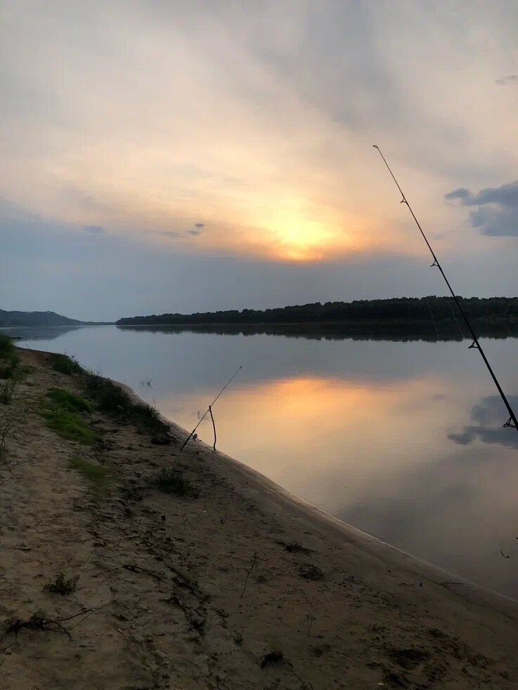 Фото SkyTerraVillage