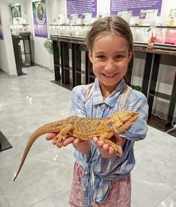 Выставка пауков и рептилий Экзопарк (Артиллерийская ул., 136, корп. 3, Челябинск), выставочный центр в Челябинске