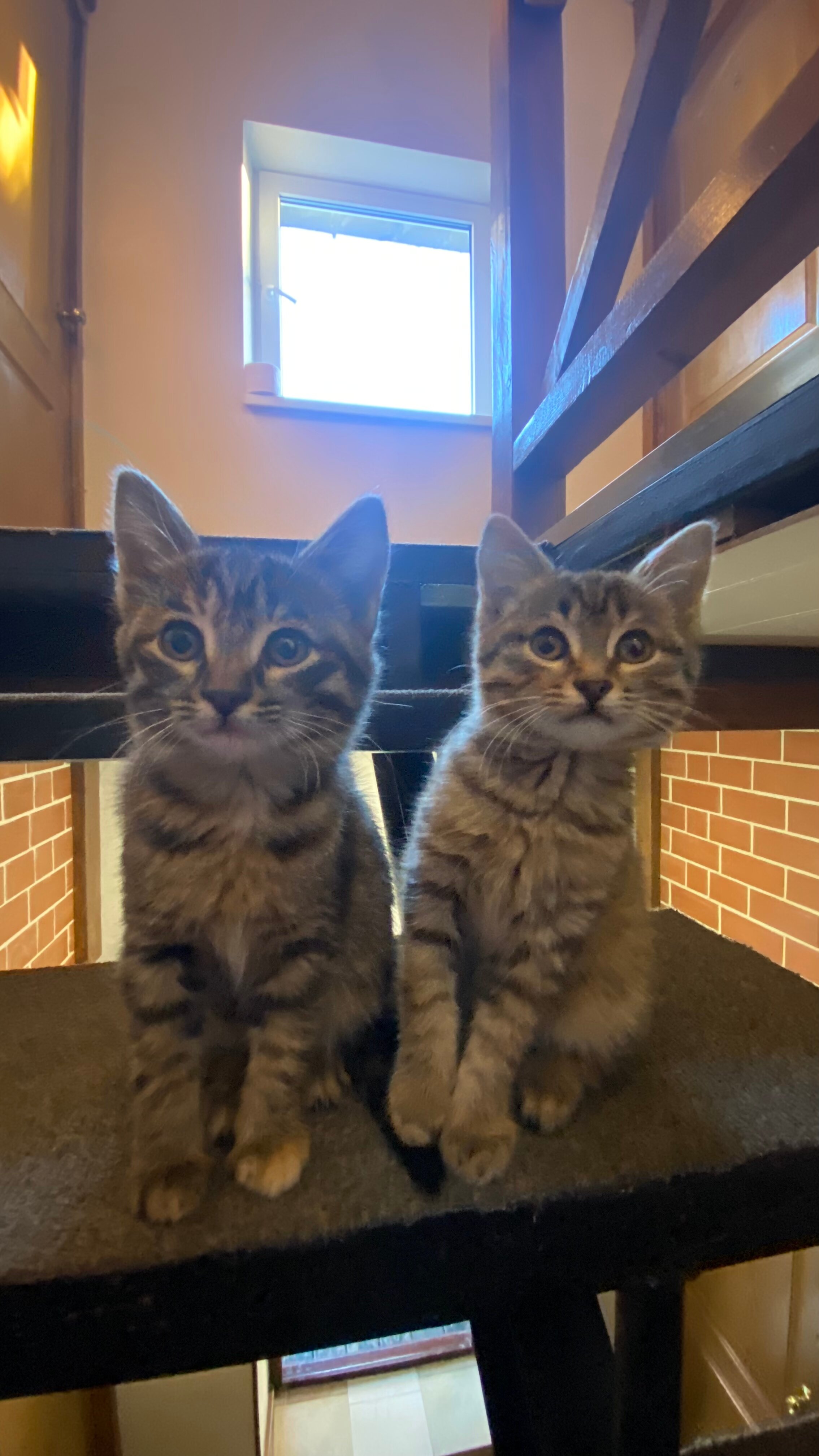 Фото Зеленга