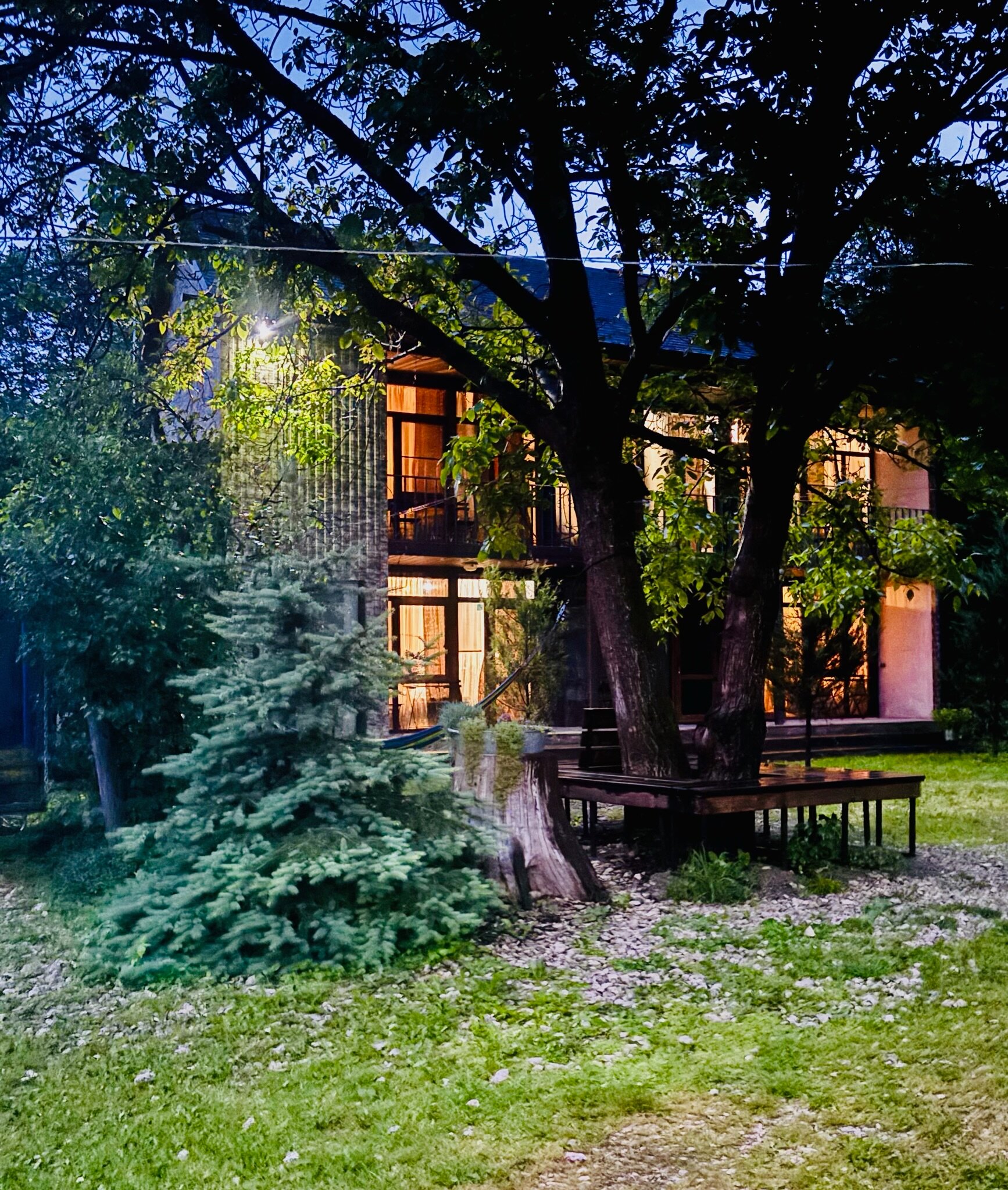 Фото Горная Лаванда