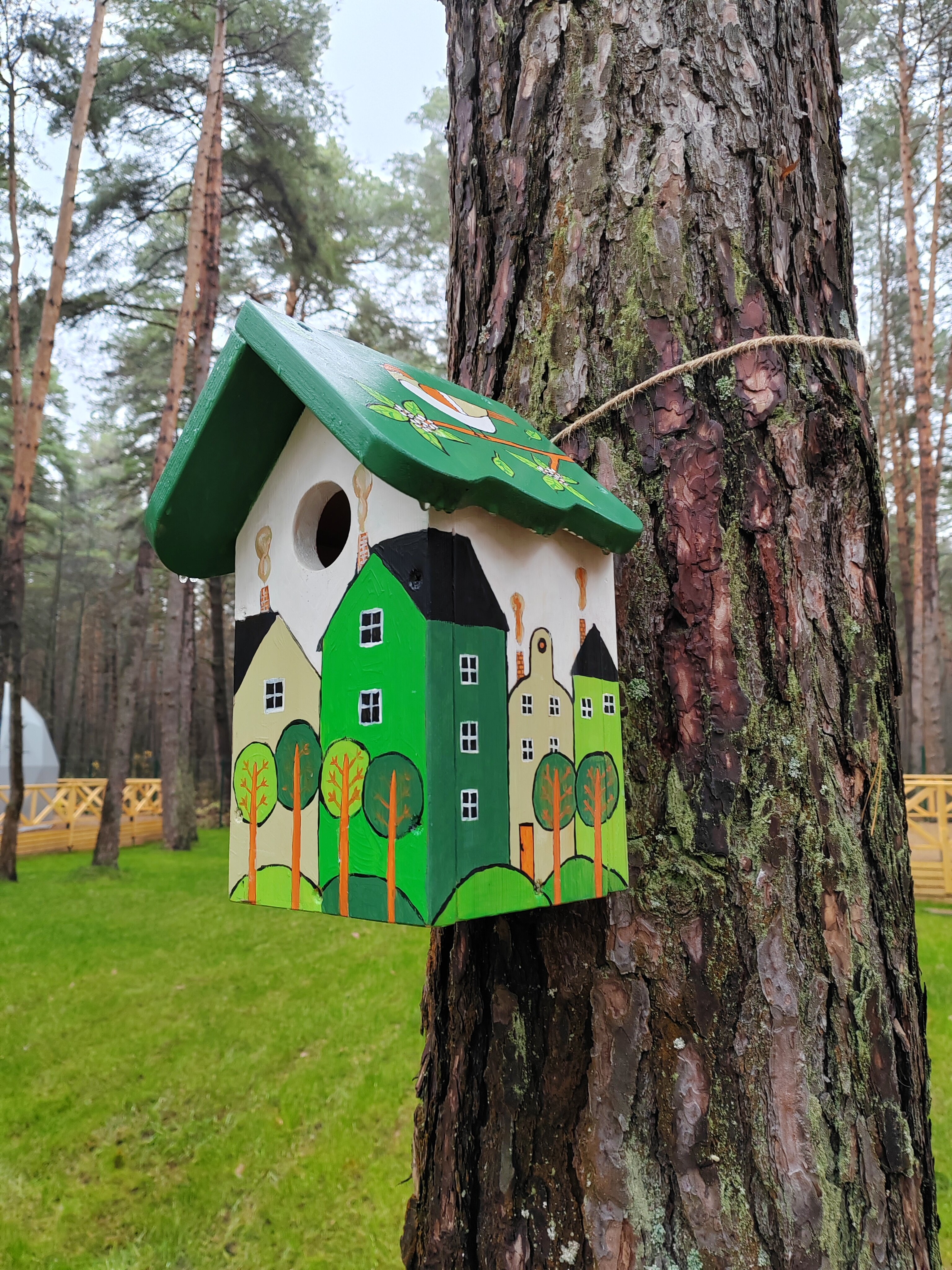 Фото Лесная опушка