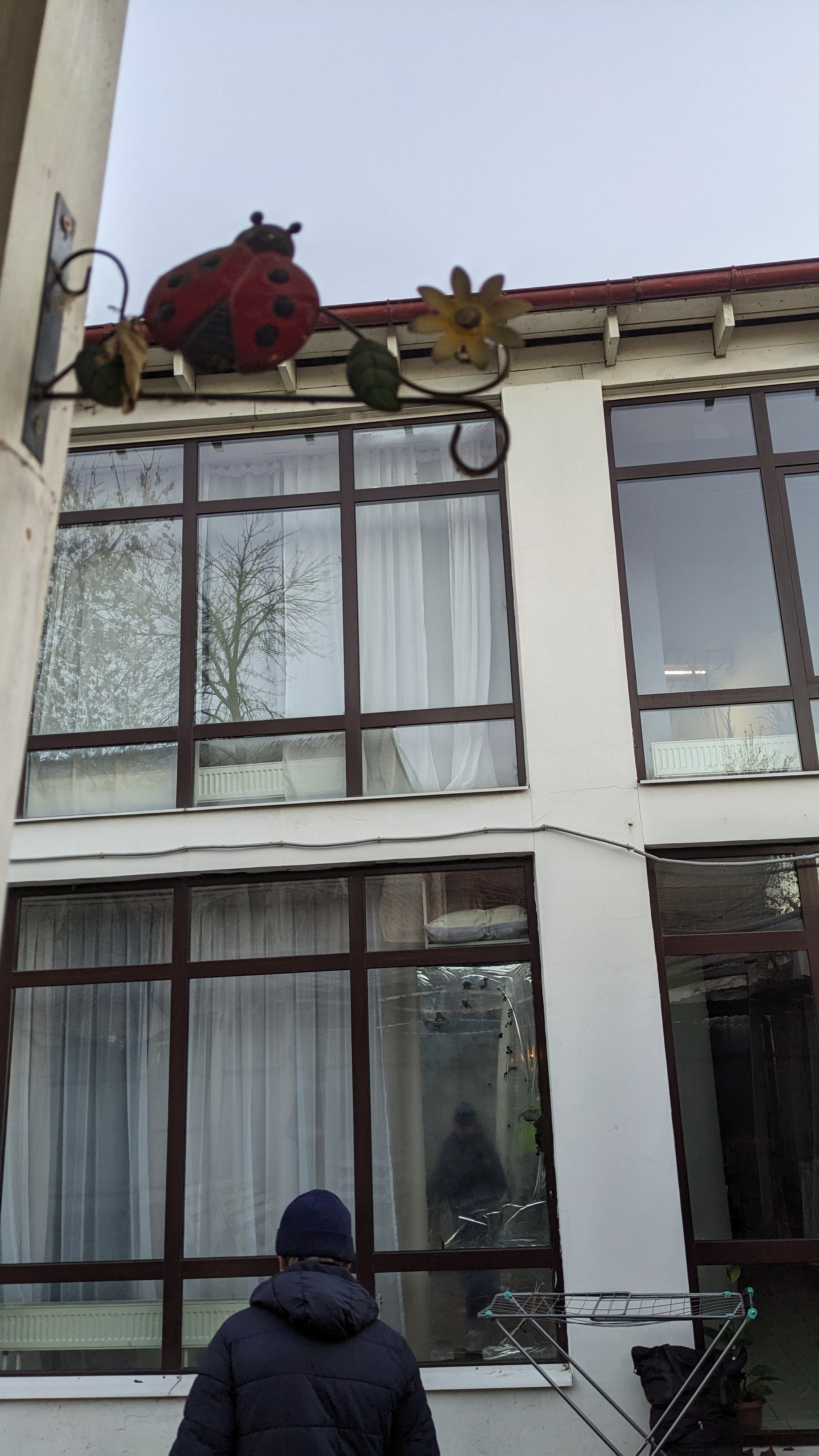 Фото Кот на крыше