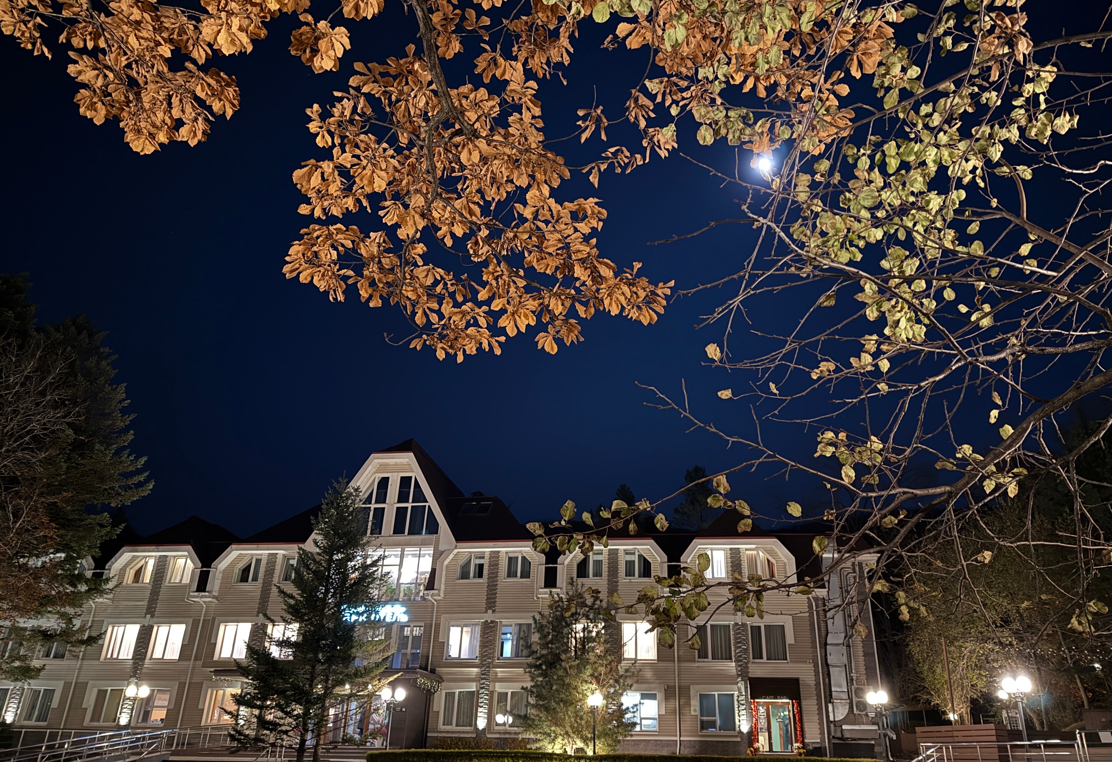 Фото Седанка Парк