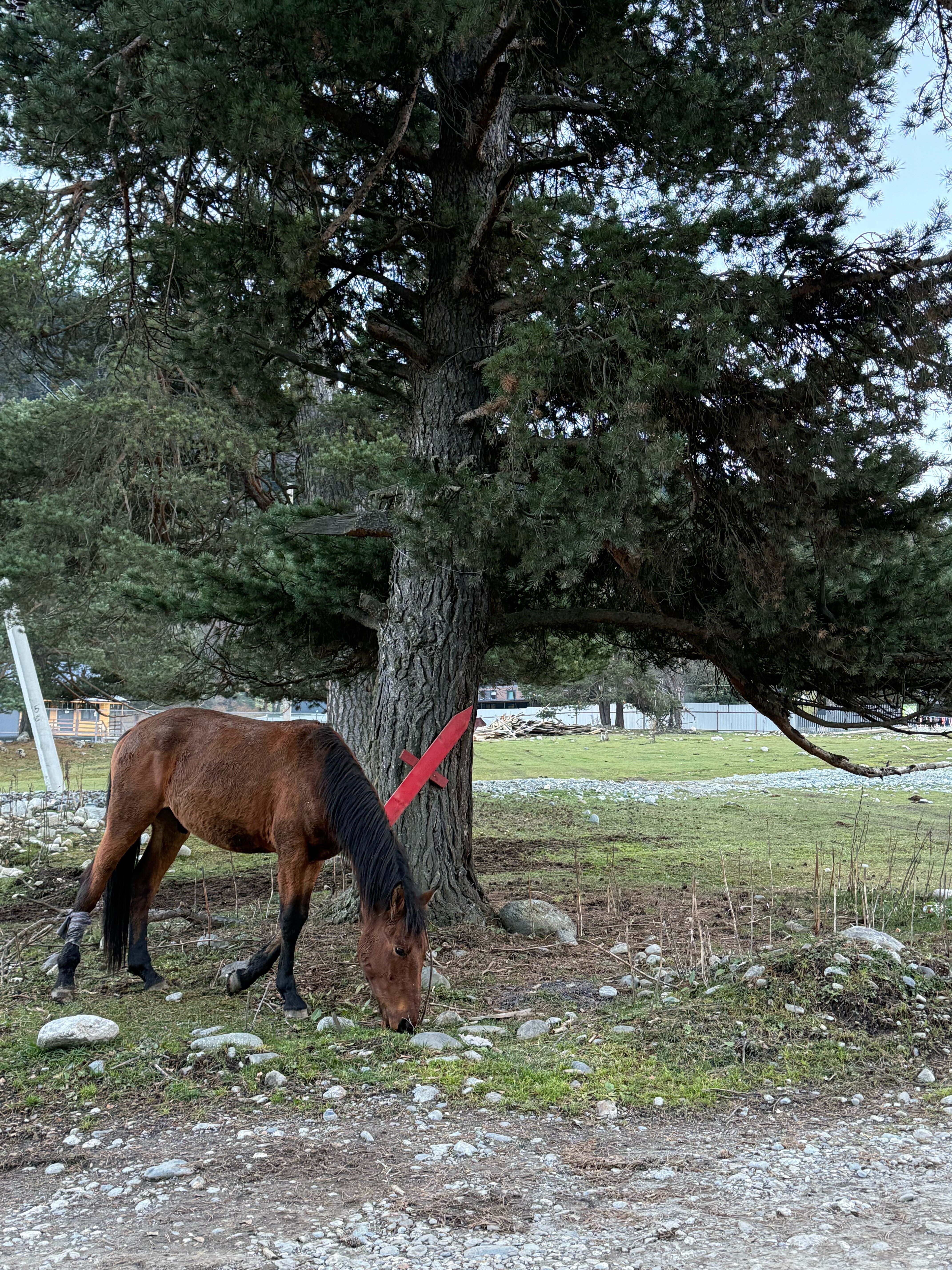 Фото Gorniy City