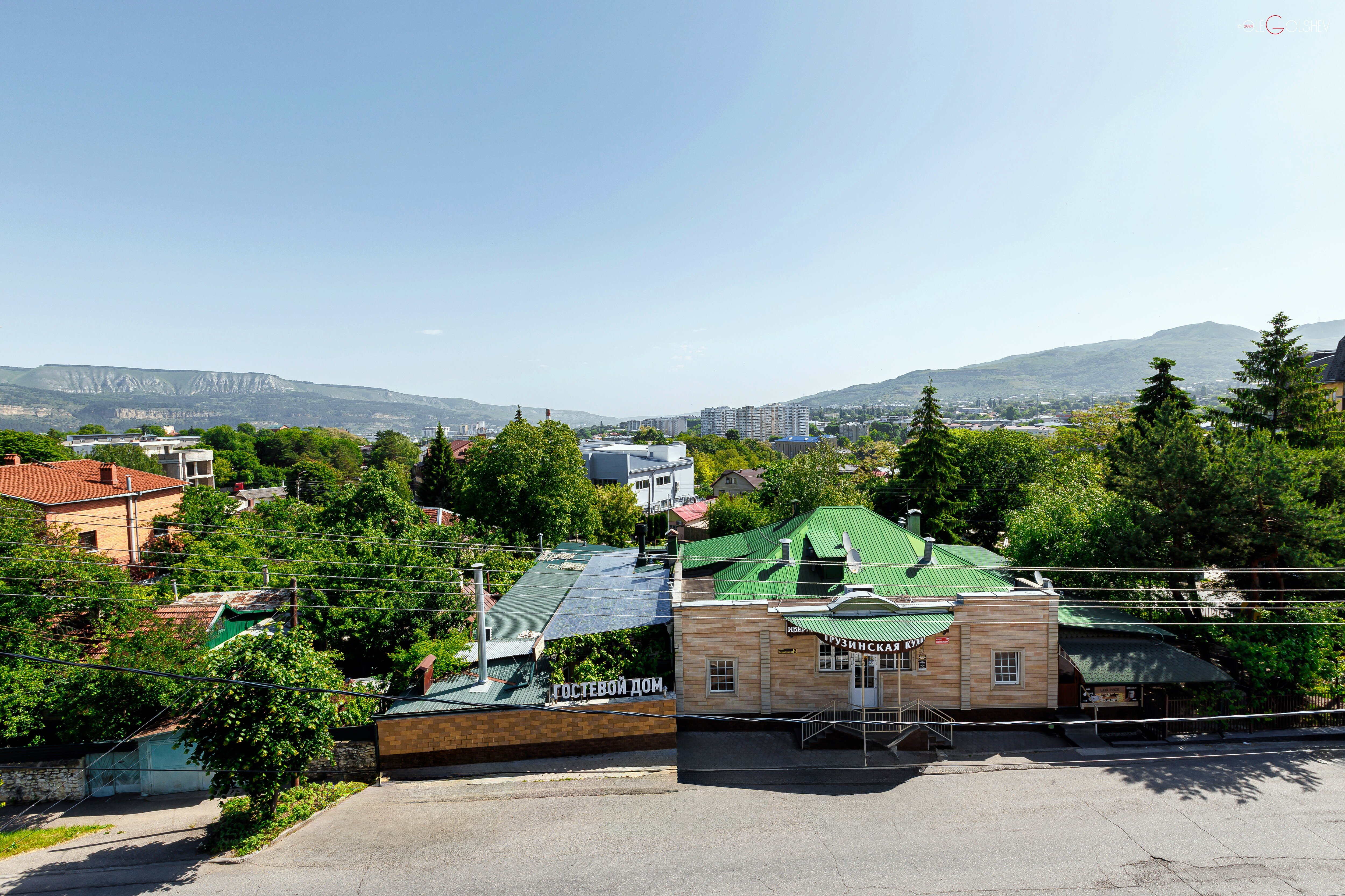 Фото Береза