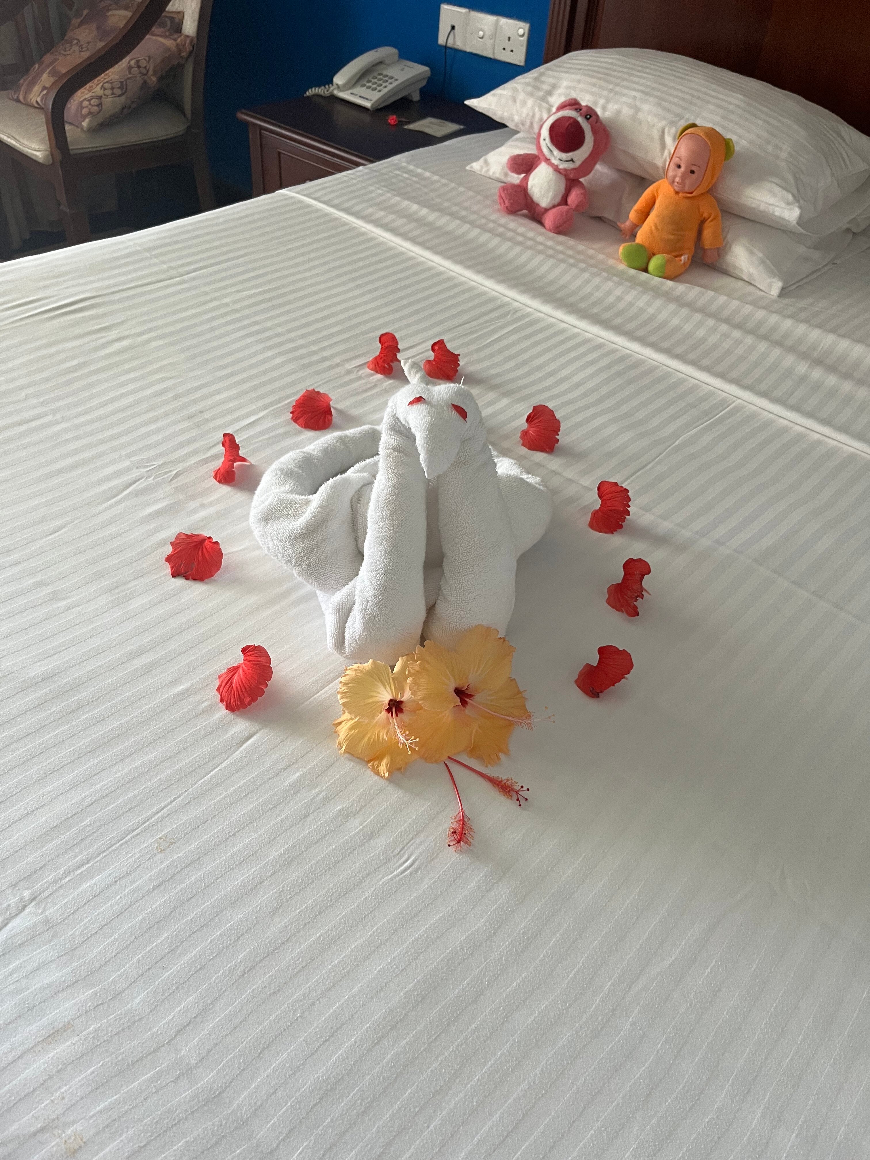 Фото Hibiscus Beach Hotel & Villas