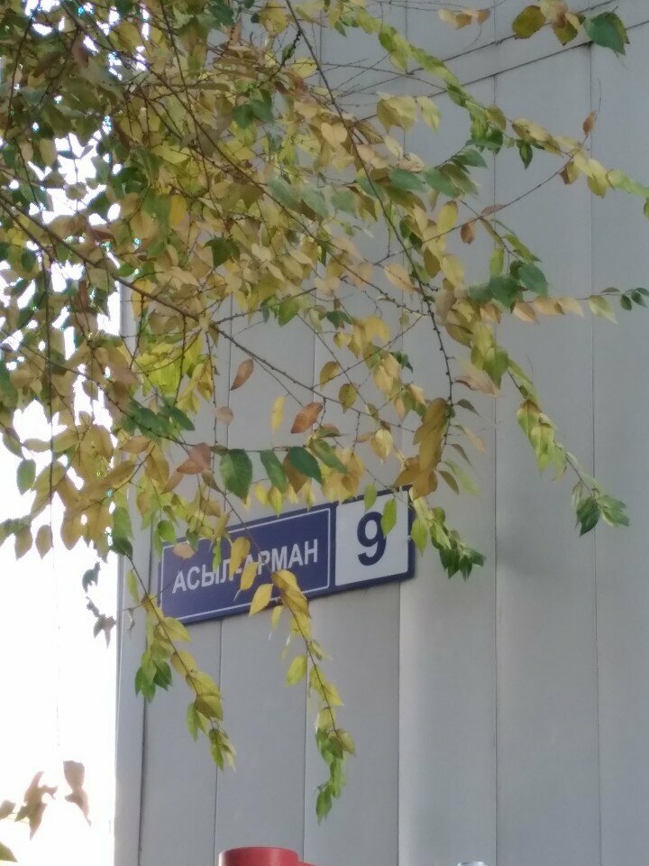 Payment terminal Kaspi Bank, Alma‑Ata District, photo