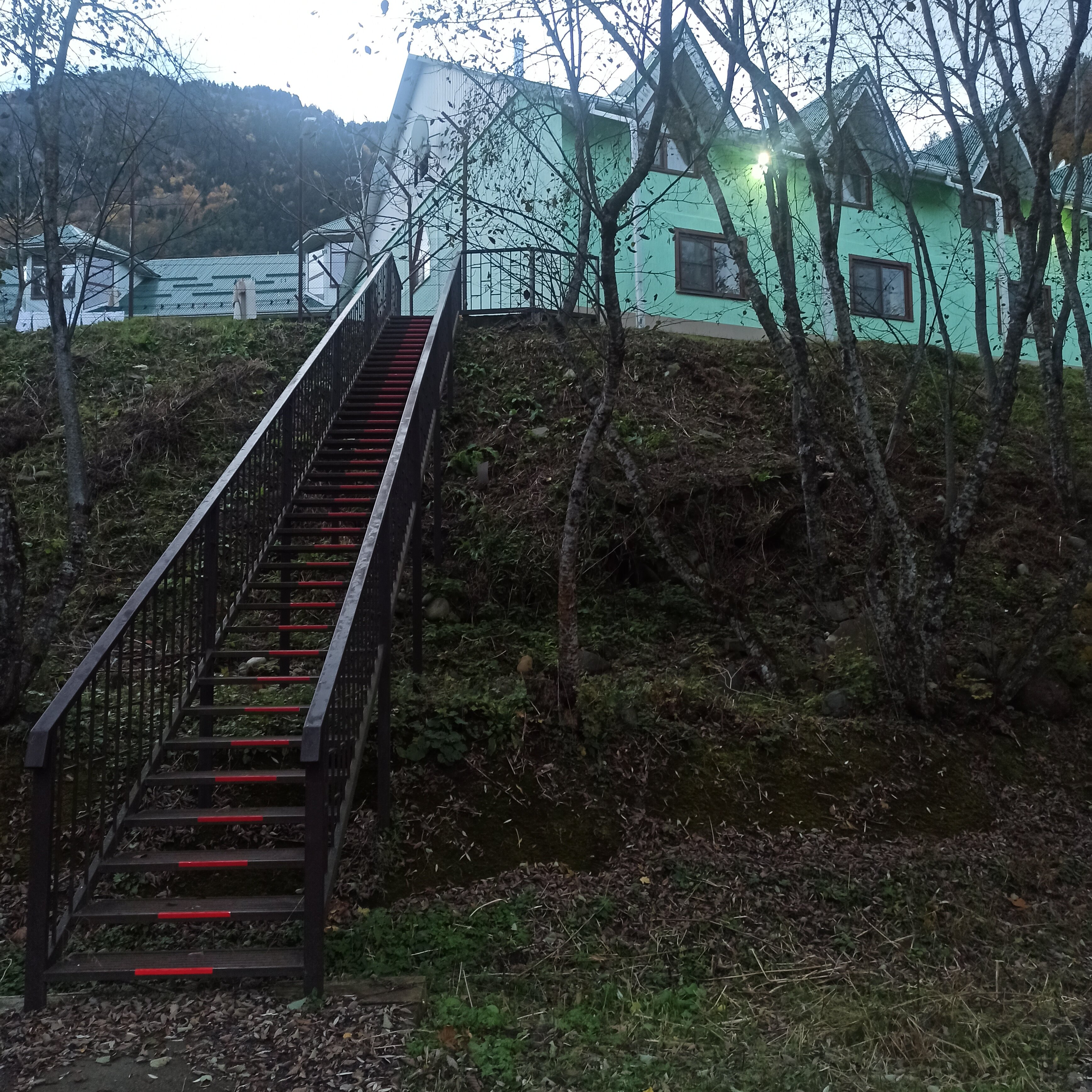 Фото Богатырь