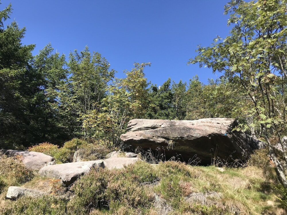 Фото Hotel Kull von Schmidsfelden