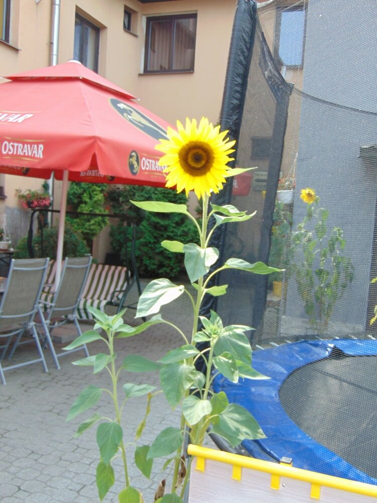 Фото Hotel Isora