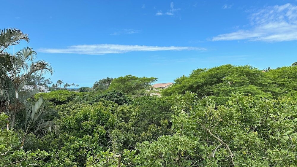 Фото Petite Provence B&b