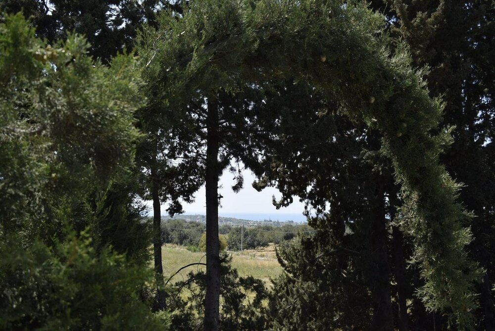 Фото Villa Aurea