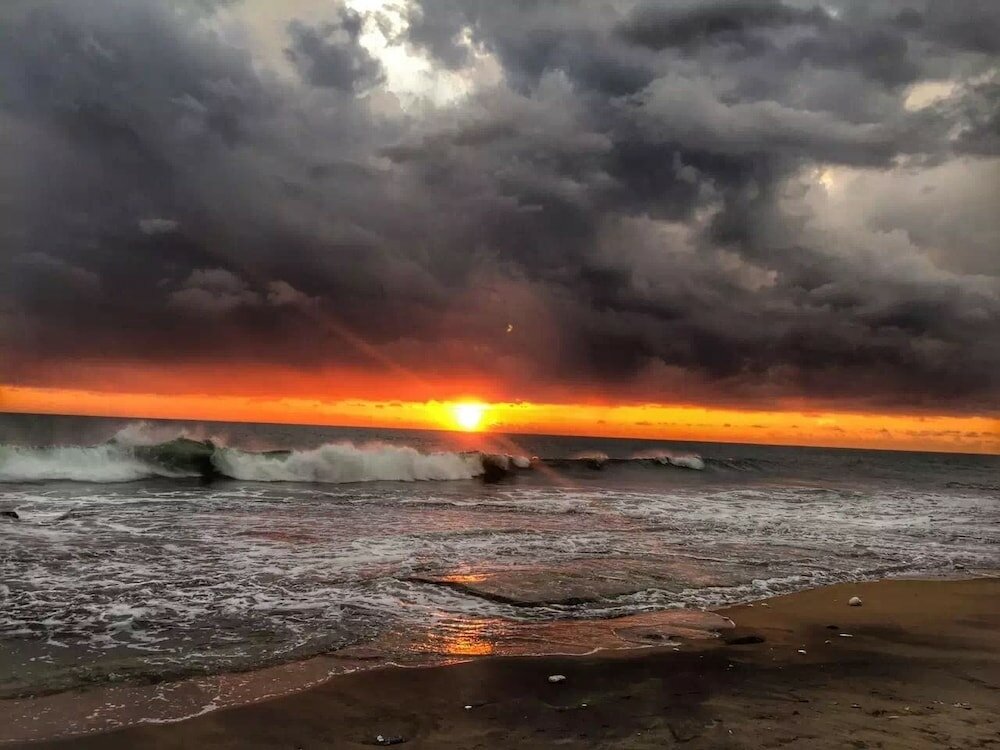 Фото Ziegler Cottage