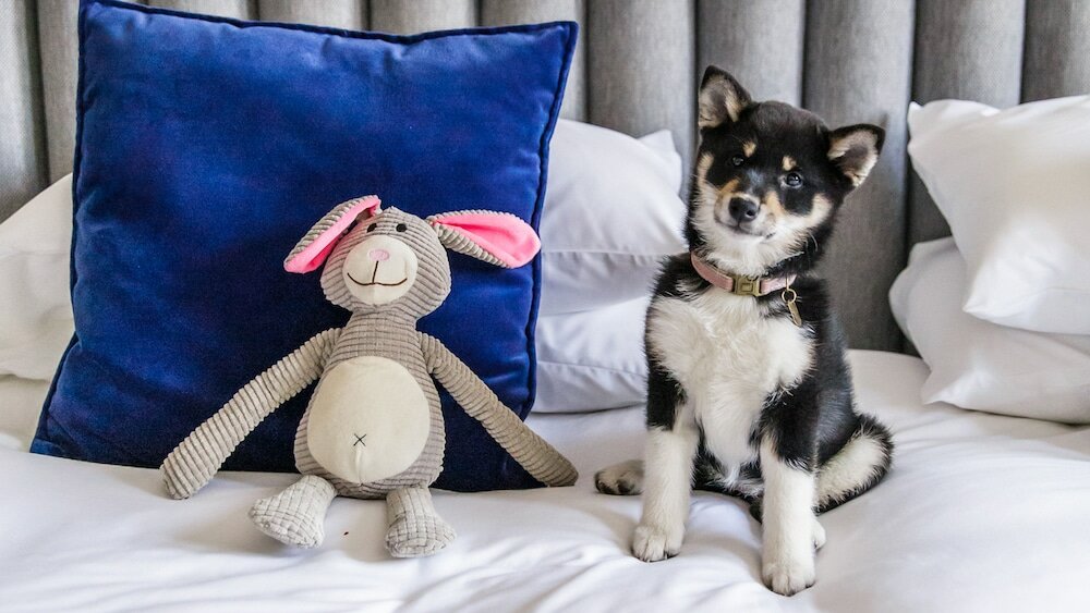 Фото Kimpton De Witt Amsterdam