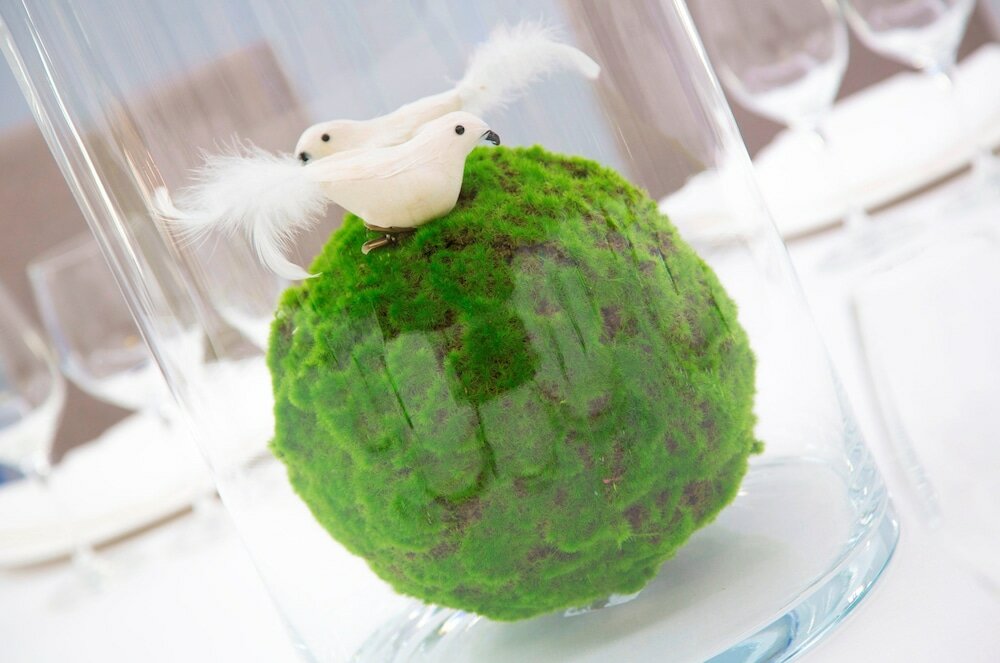 Фото Méndez Núñez Hotel