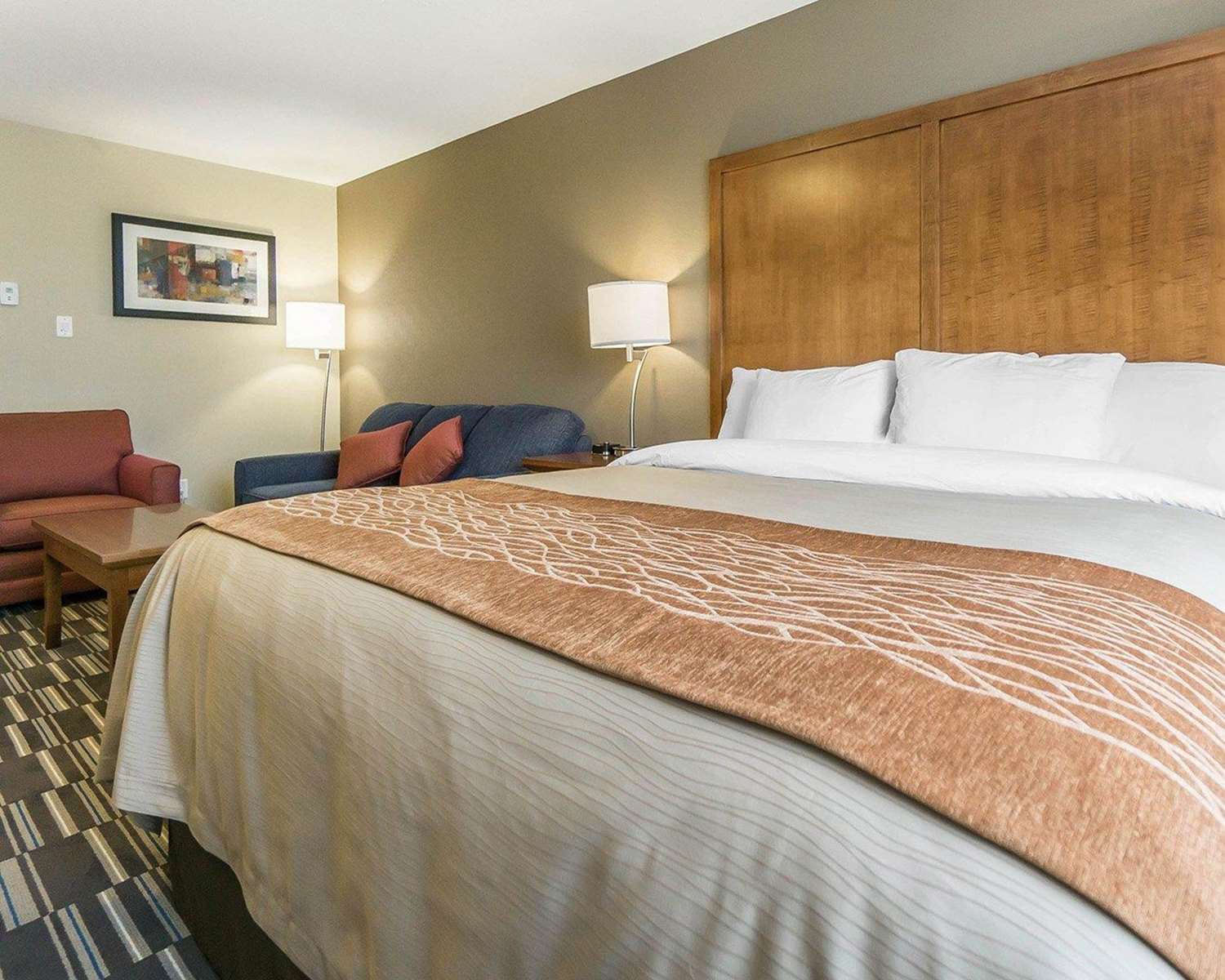 Фото Comfort Inn & Suites Edmonton International Airport