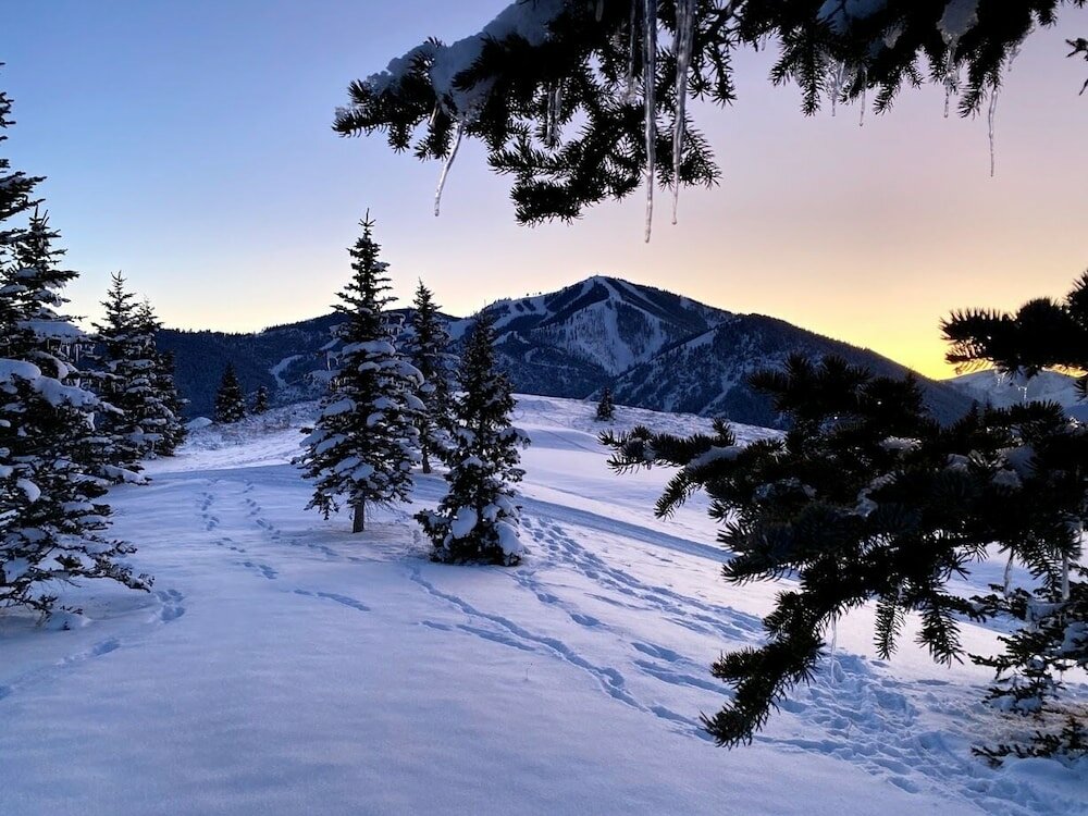 Фото Knob Hill Inn