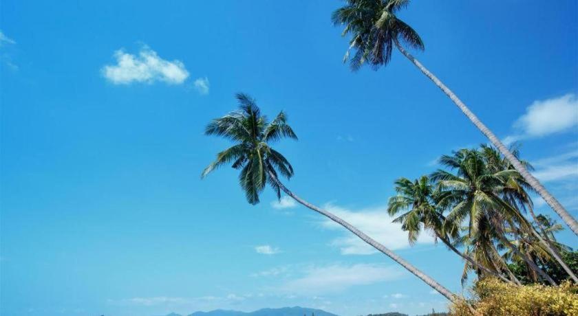 Фото P. F Mansion