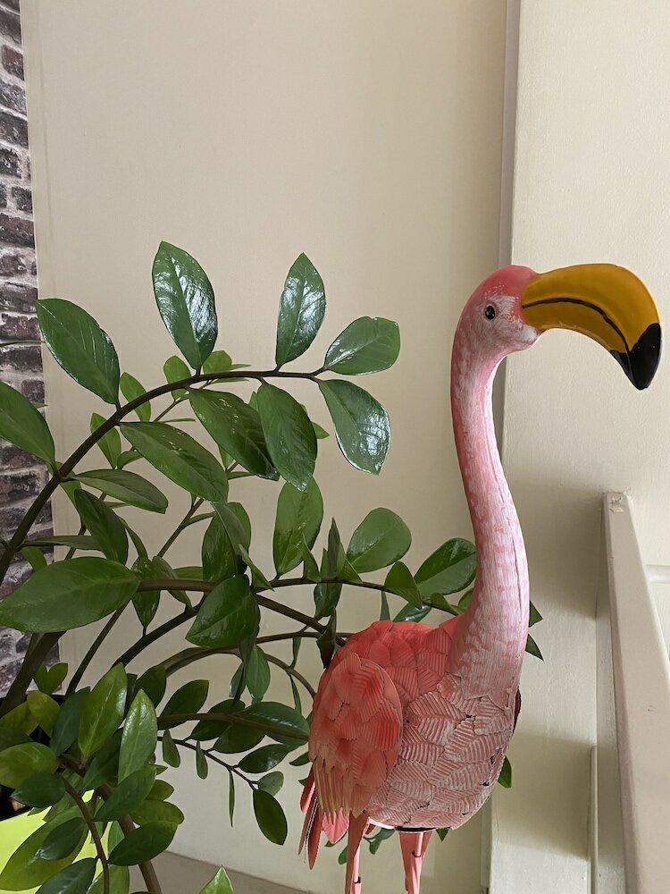 Фото O Casarao Guesthouse