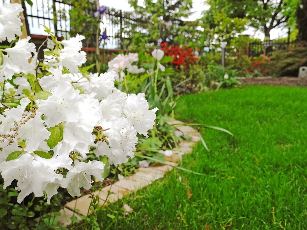 Фото B&b Dimora Morelli