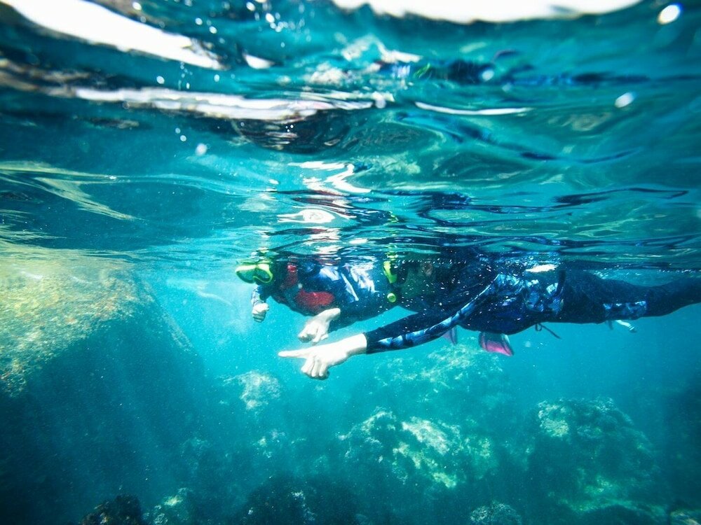 Фото Shimoda Prince Hotel