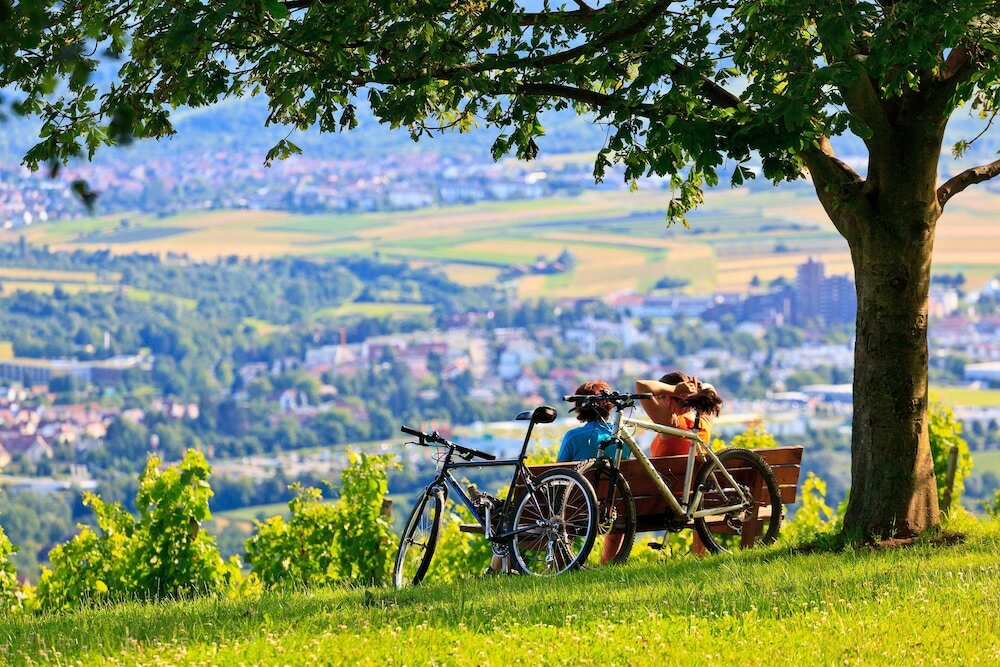 Фото Holiday Inn Express Stuttgart - Waiblingen