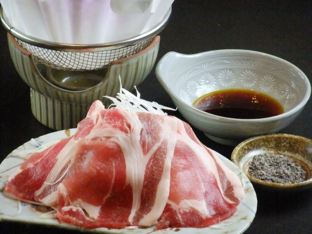 Фото Niseko Annupuri Onsen Yugokorotei