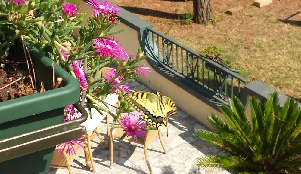 Фото Villaggio Mithos