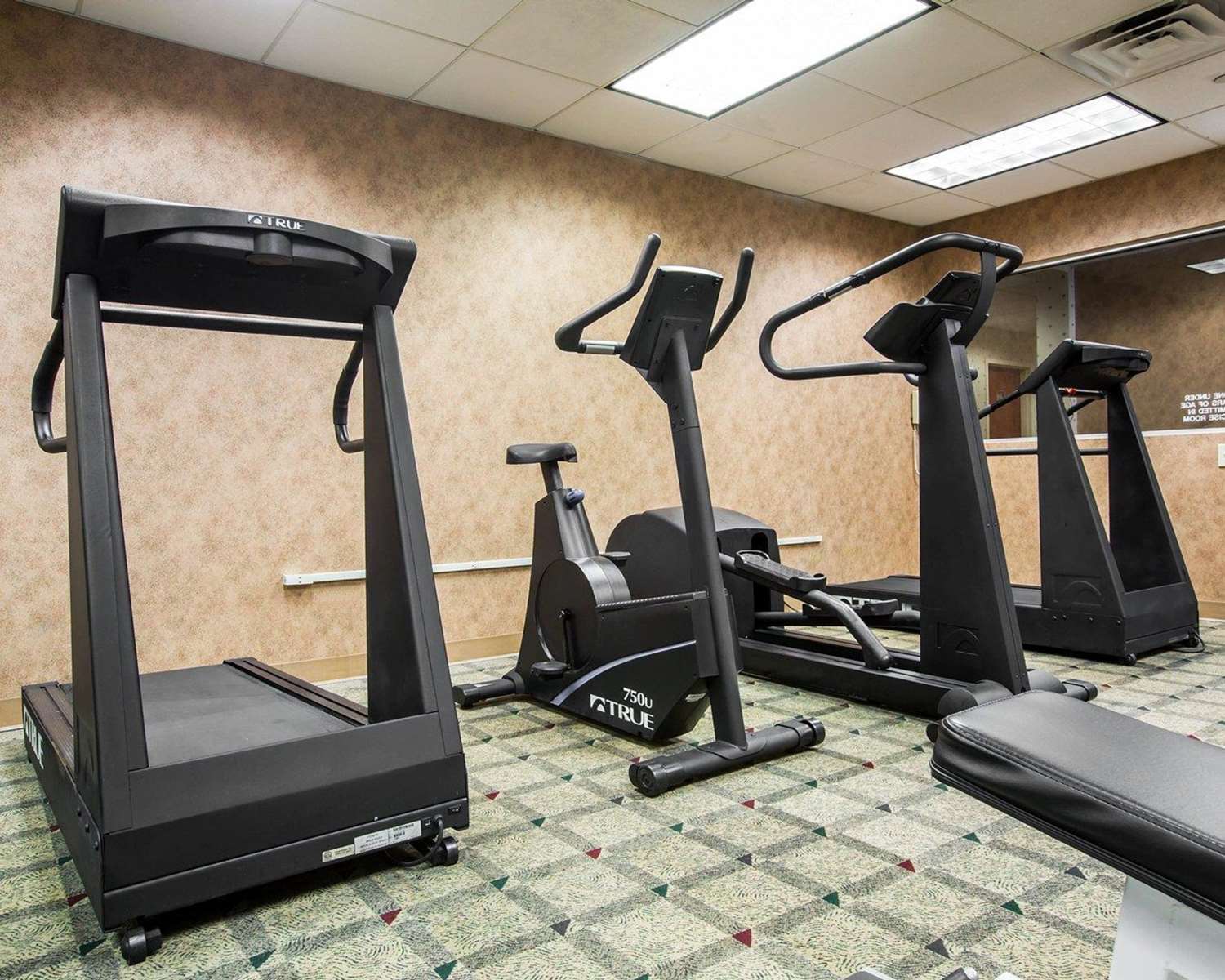 Фото Comfort Inn & Suites