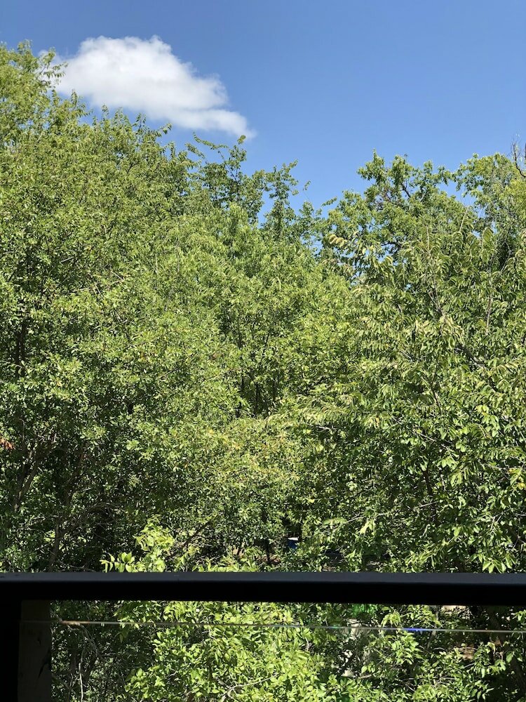 Фото WangShi China Palace B&b