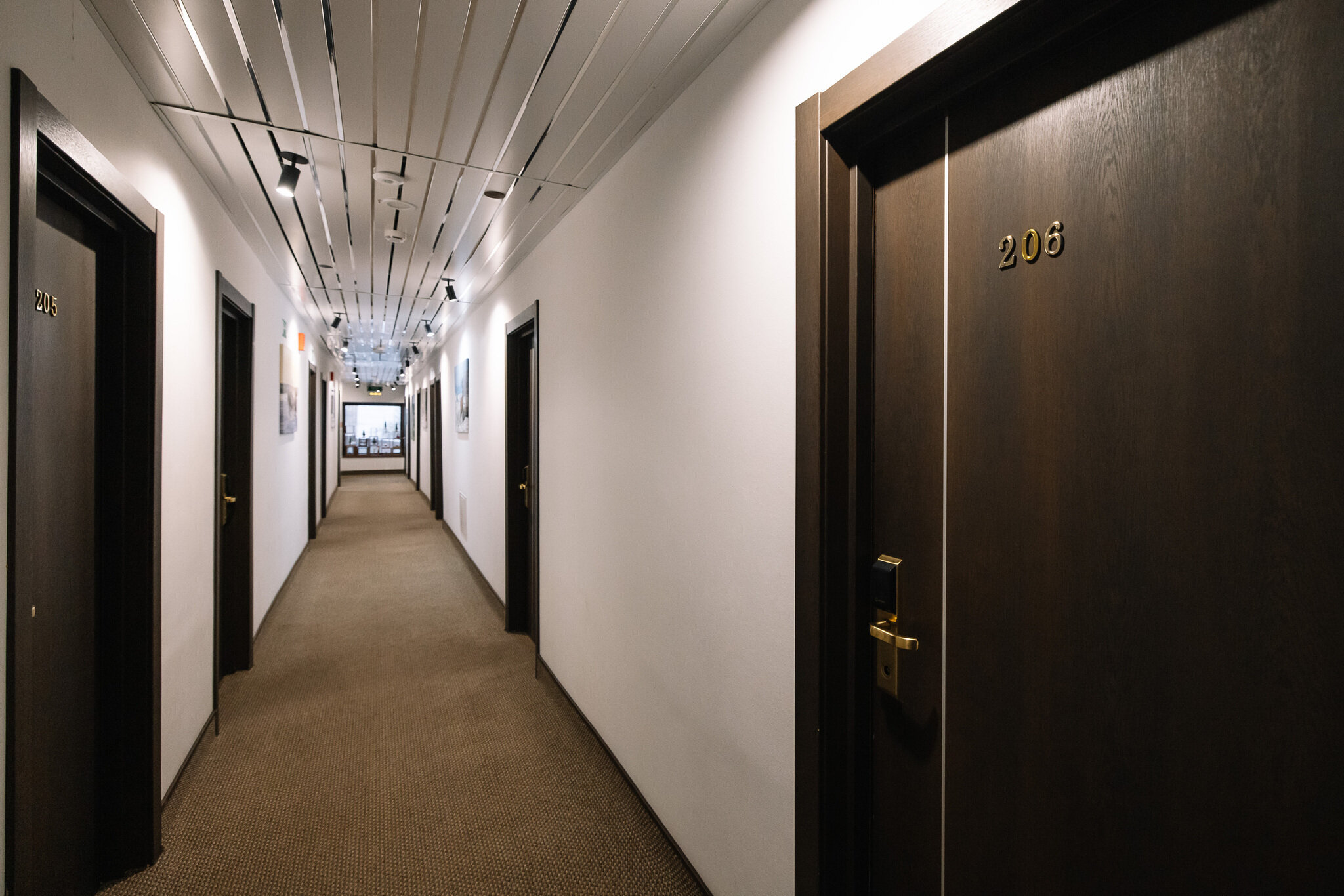 Фото Тундра