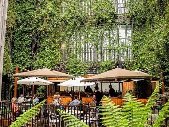 Фото The Mandrake