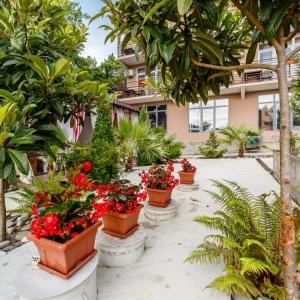 Фото У Елены