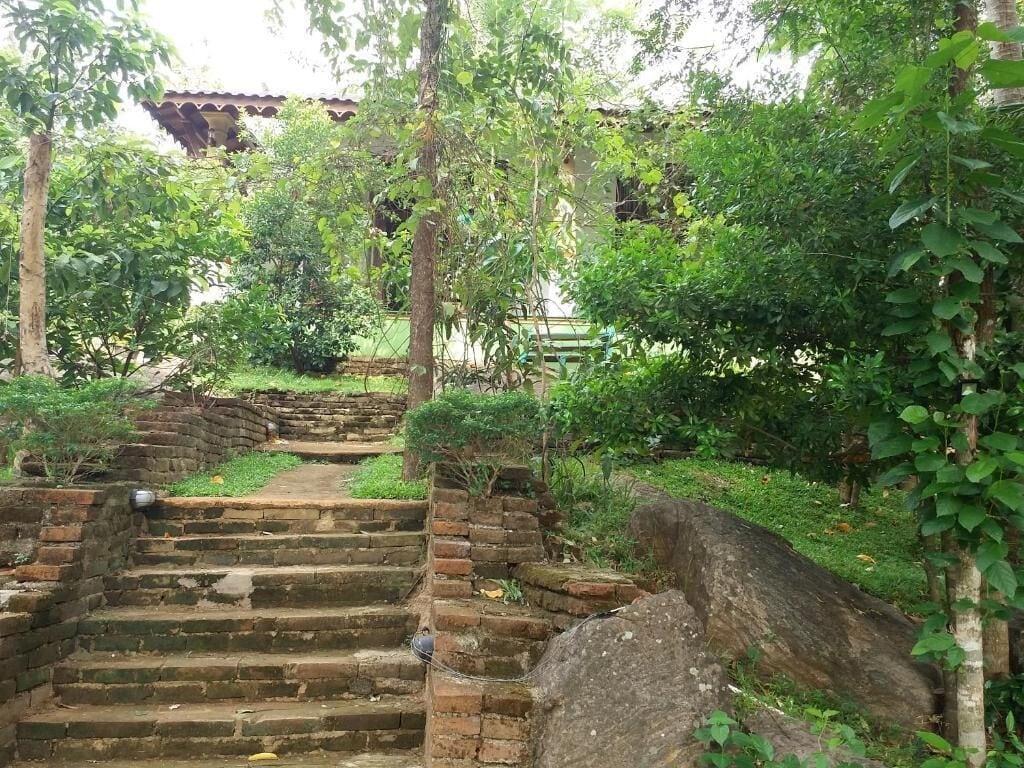 Фото Serenity Sigiri Resort