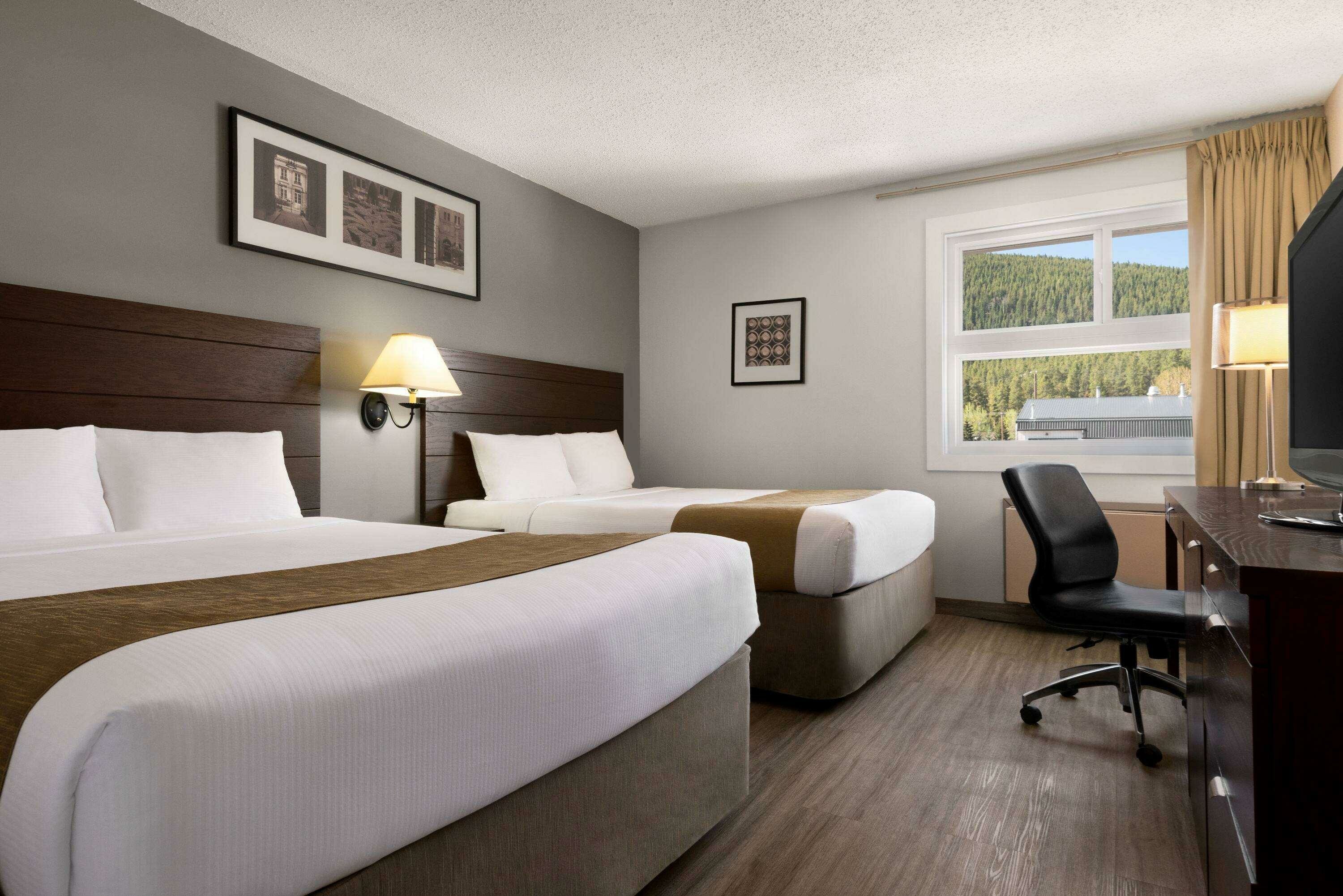 Фото 241553819836