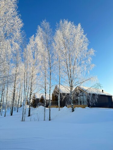 Дом отдыха Breytovo Village в Брейтове
