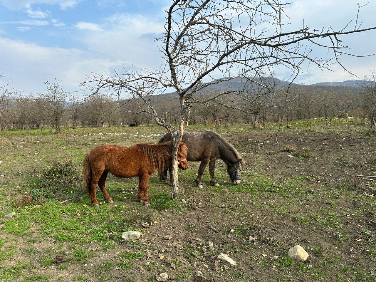 Фото Дом на Широком